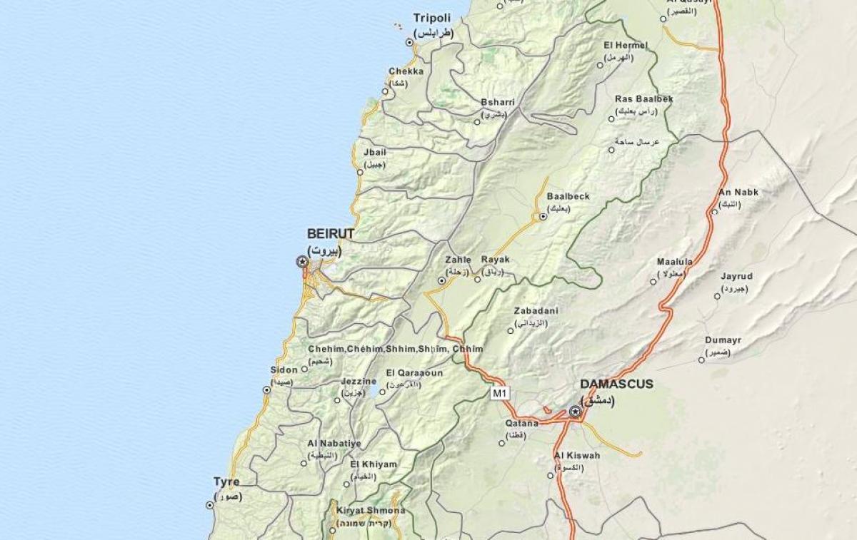 peta - peta Lebanon